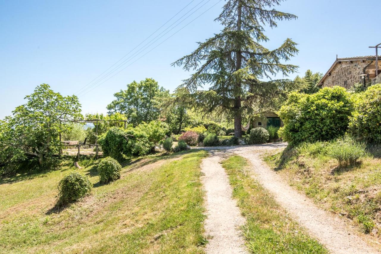 Appartamento Gemma Verde-Tavoleto Castiglione d'Orcia Exterior photo